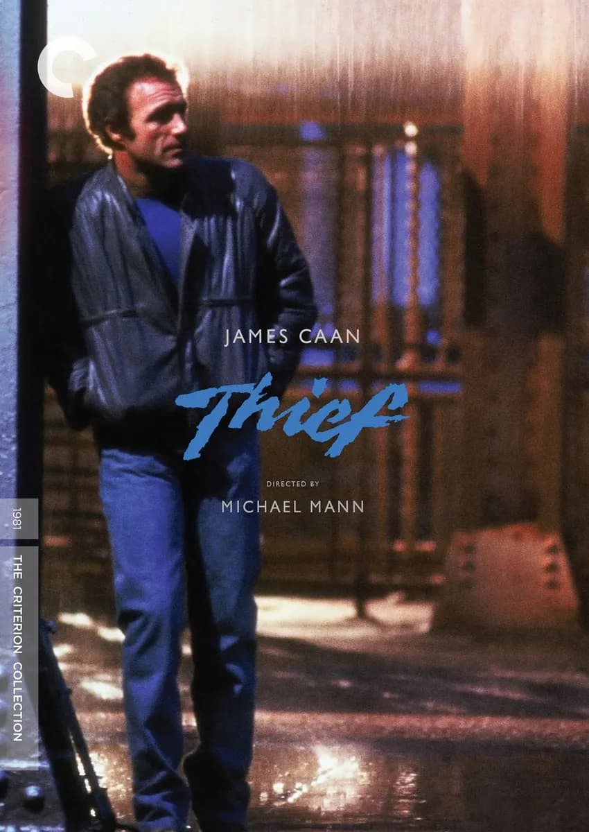 Thief cover