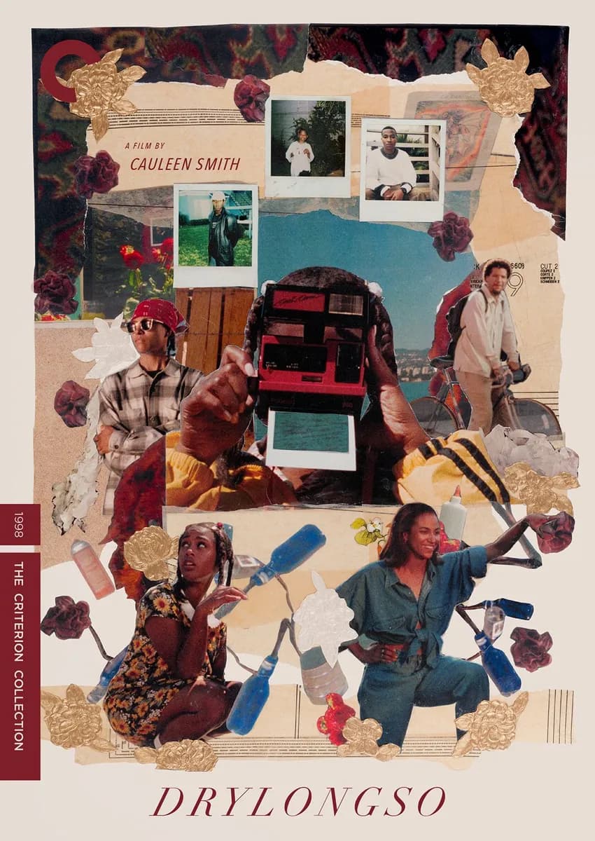 Drylongso cover