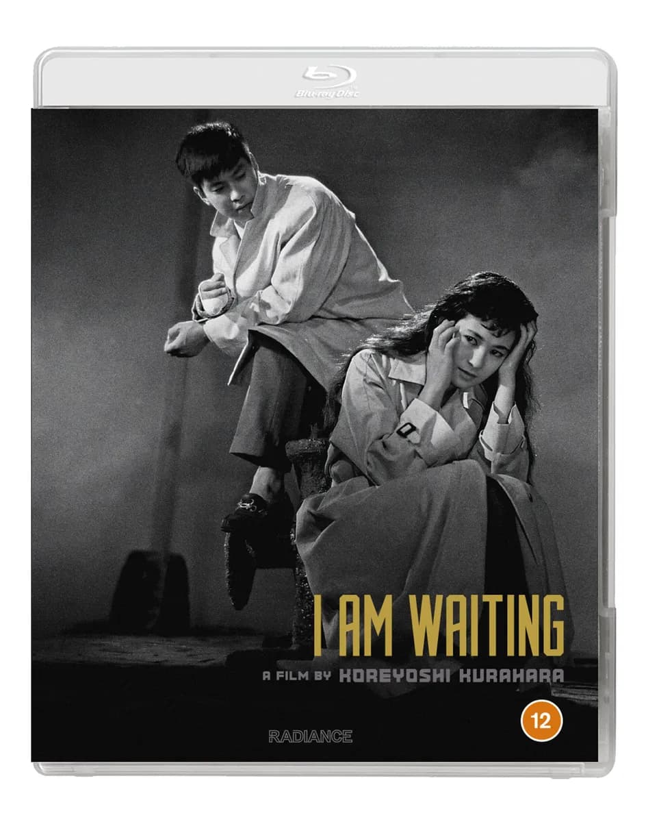 I Am Waiting cover