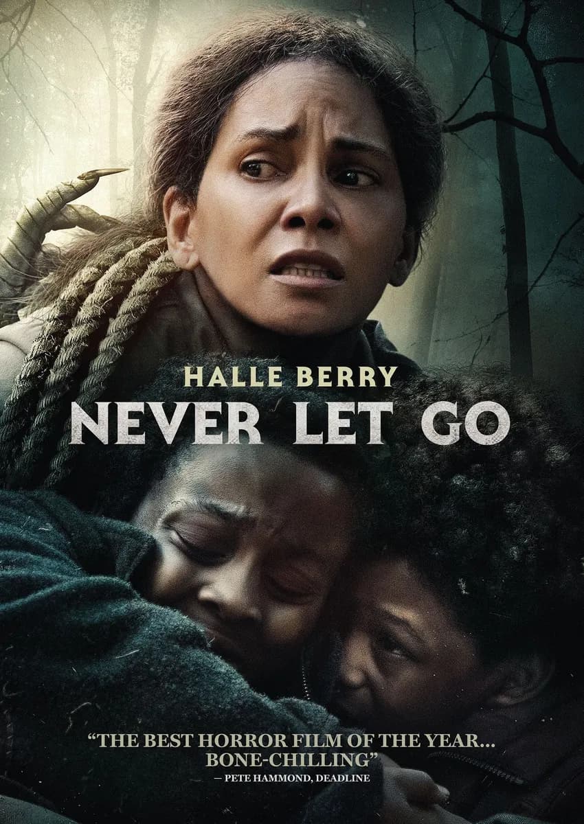 Never Let Go cover