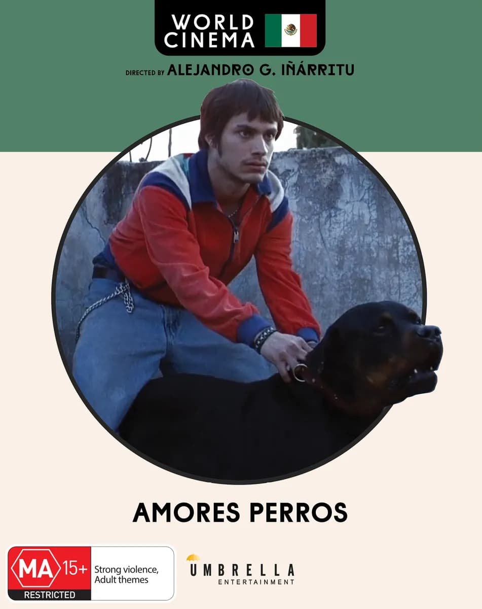 Amores Perros cover