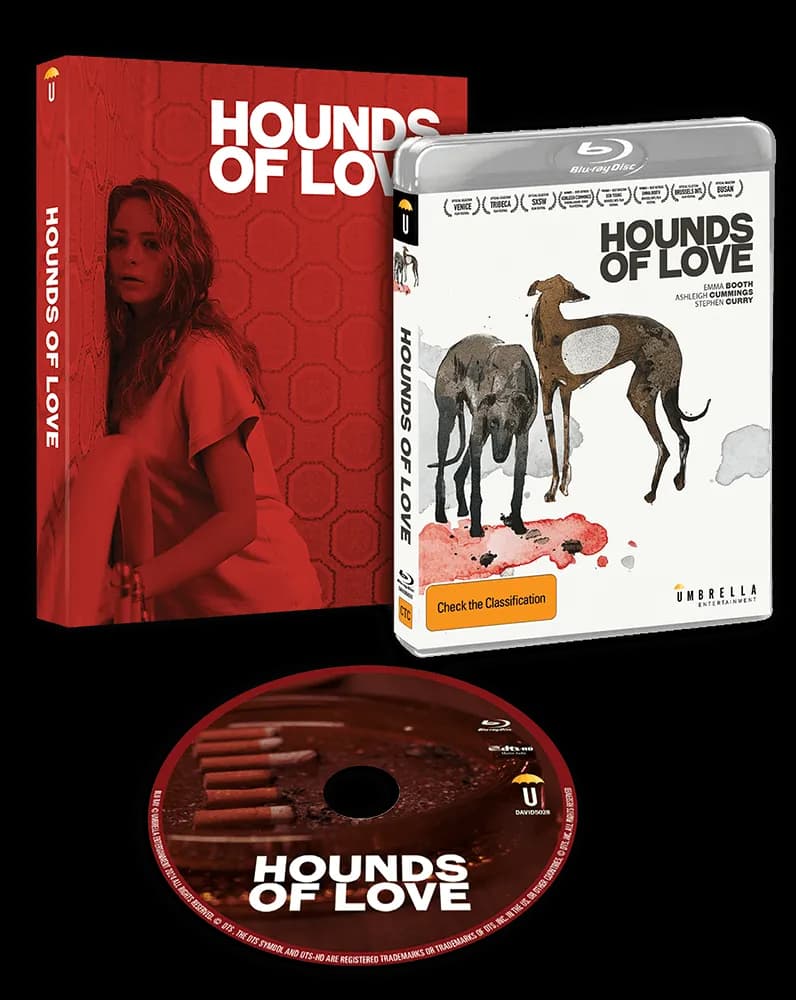 Hounds Of Love cover