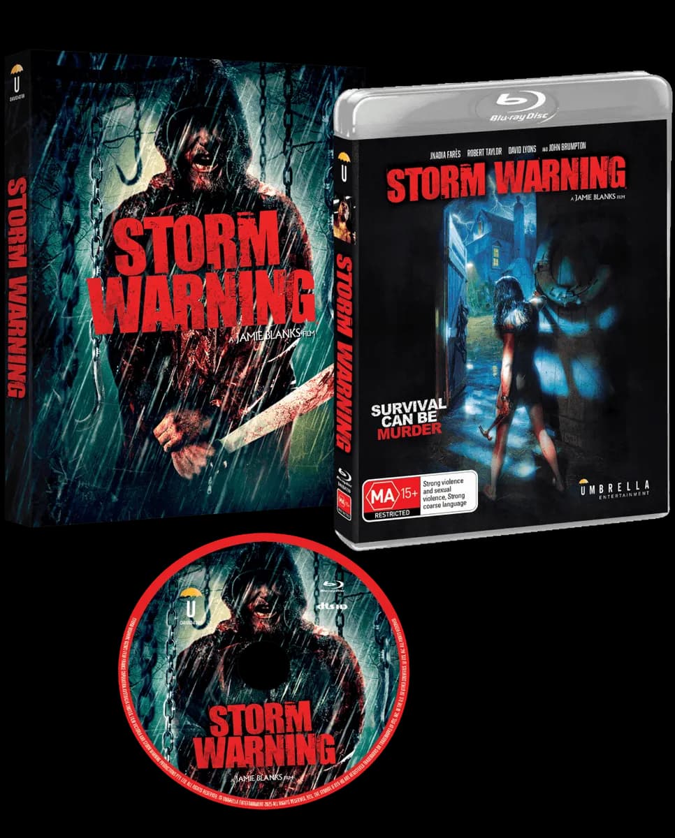 Storm Warning cover