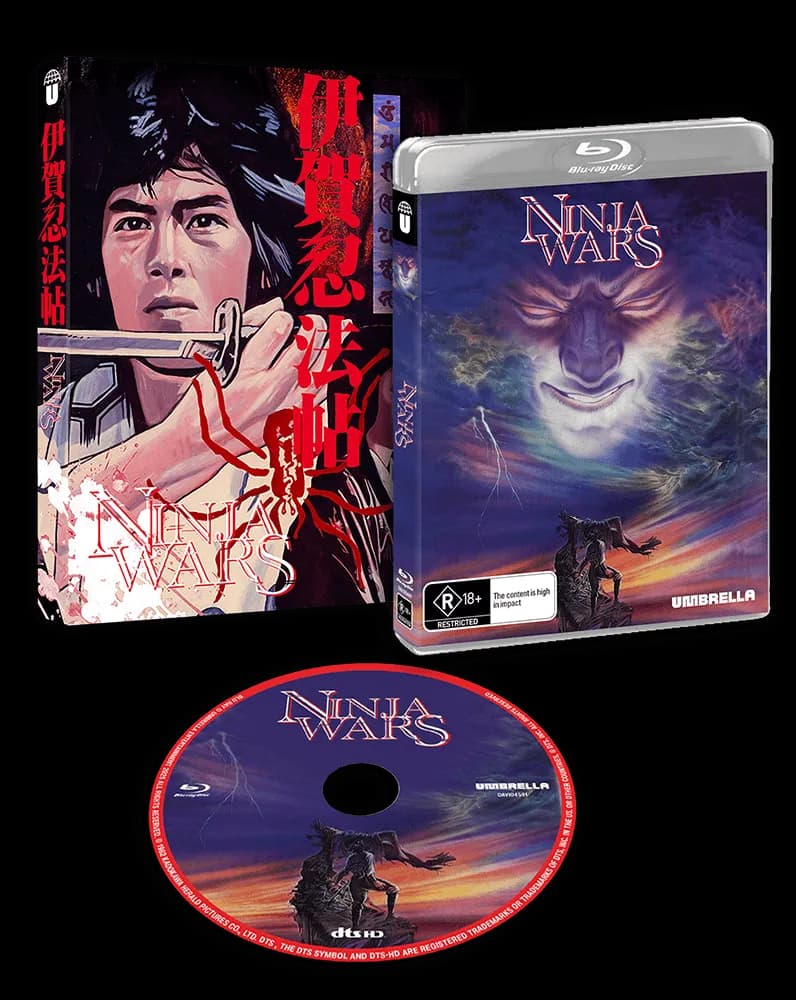 Ninja Wars cover
