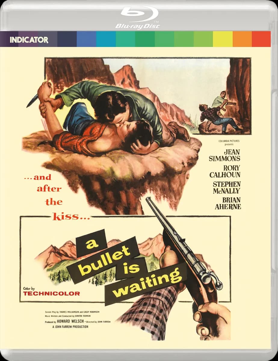 A Bullet Is Waiting cover