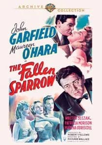 The Fallen Sparrow cover