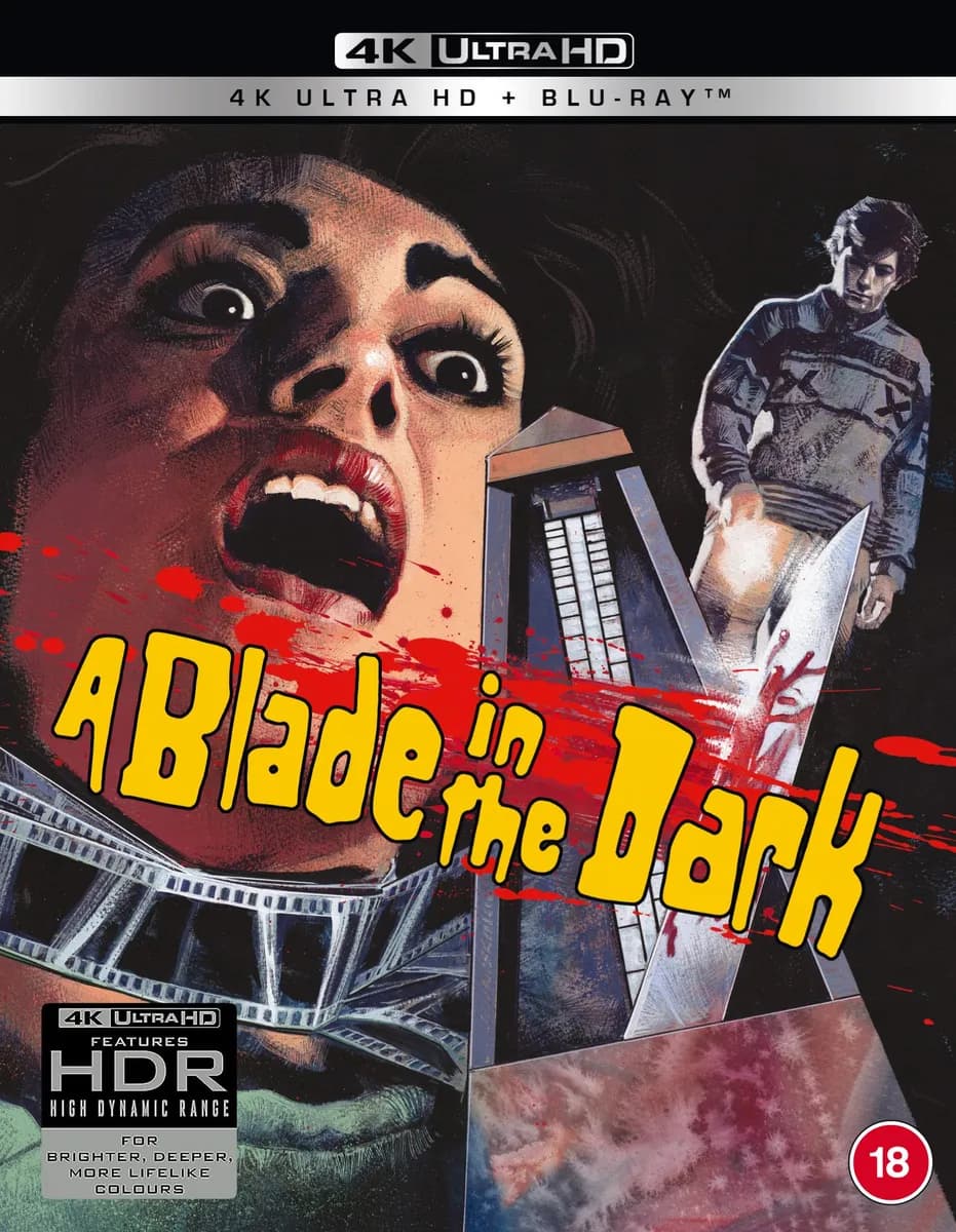 A Blade in the Dark cover