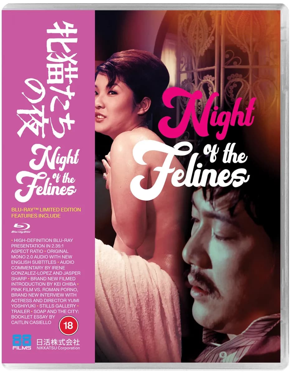 Night Of The Felines cover