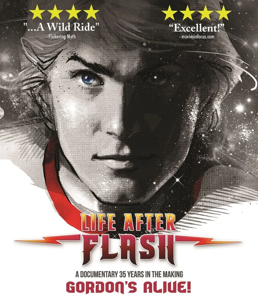 Life After Flash cover