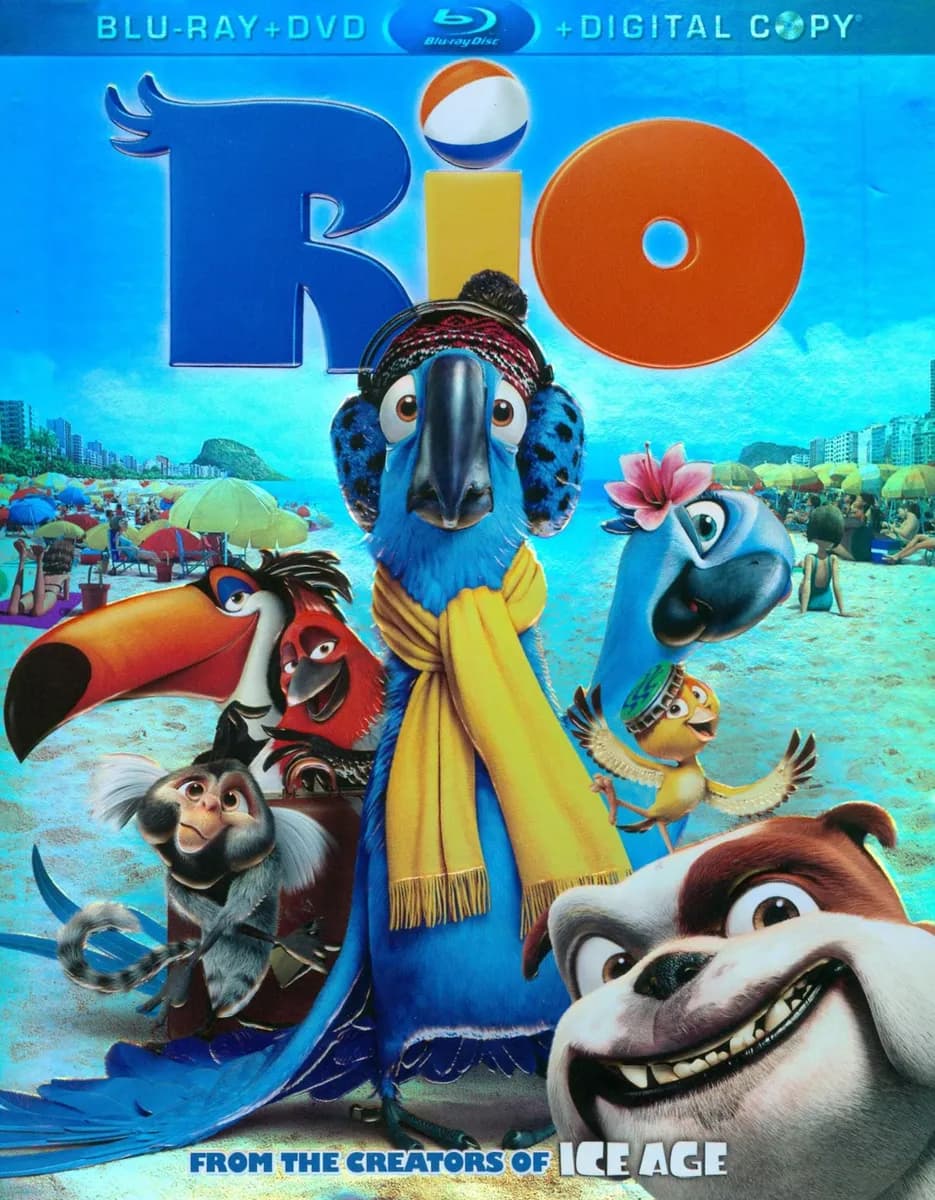Rio cover
