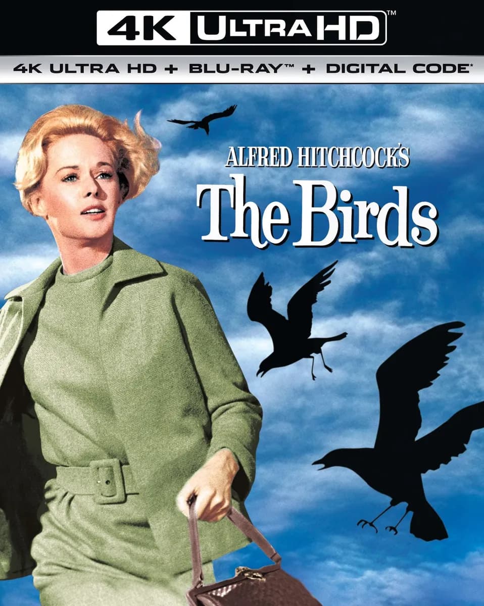 The Birds cover
