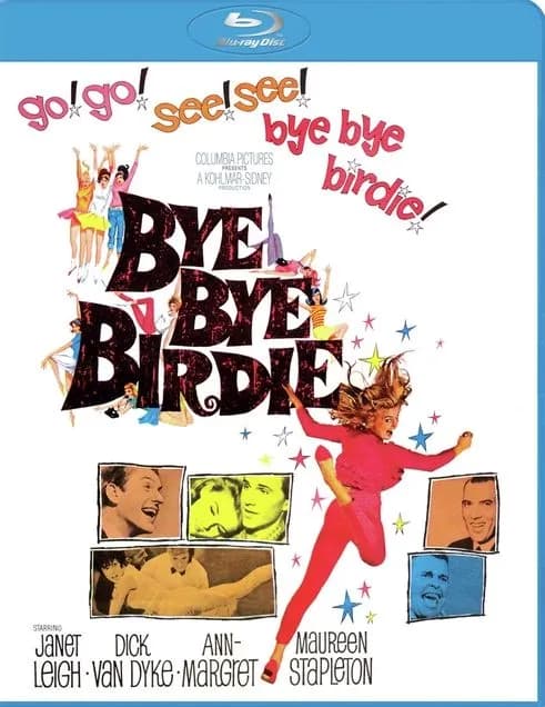 Bye Bye Birdie cover