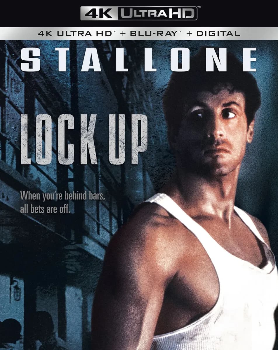 Lock Up cover