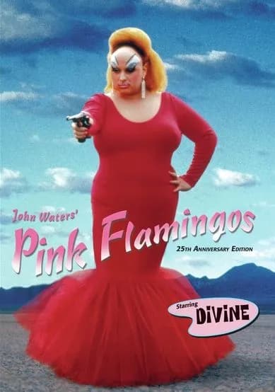 Pink Flamingos cover
