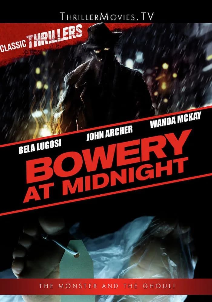 Bowery at Midnight cover