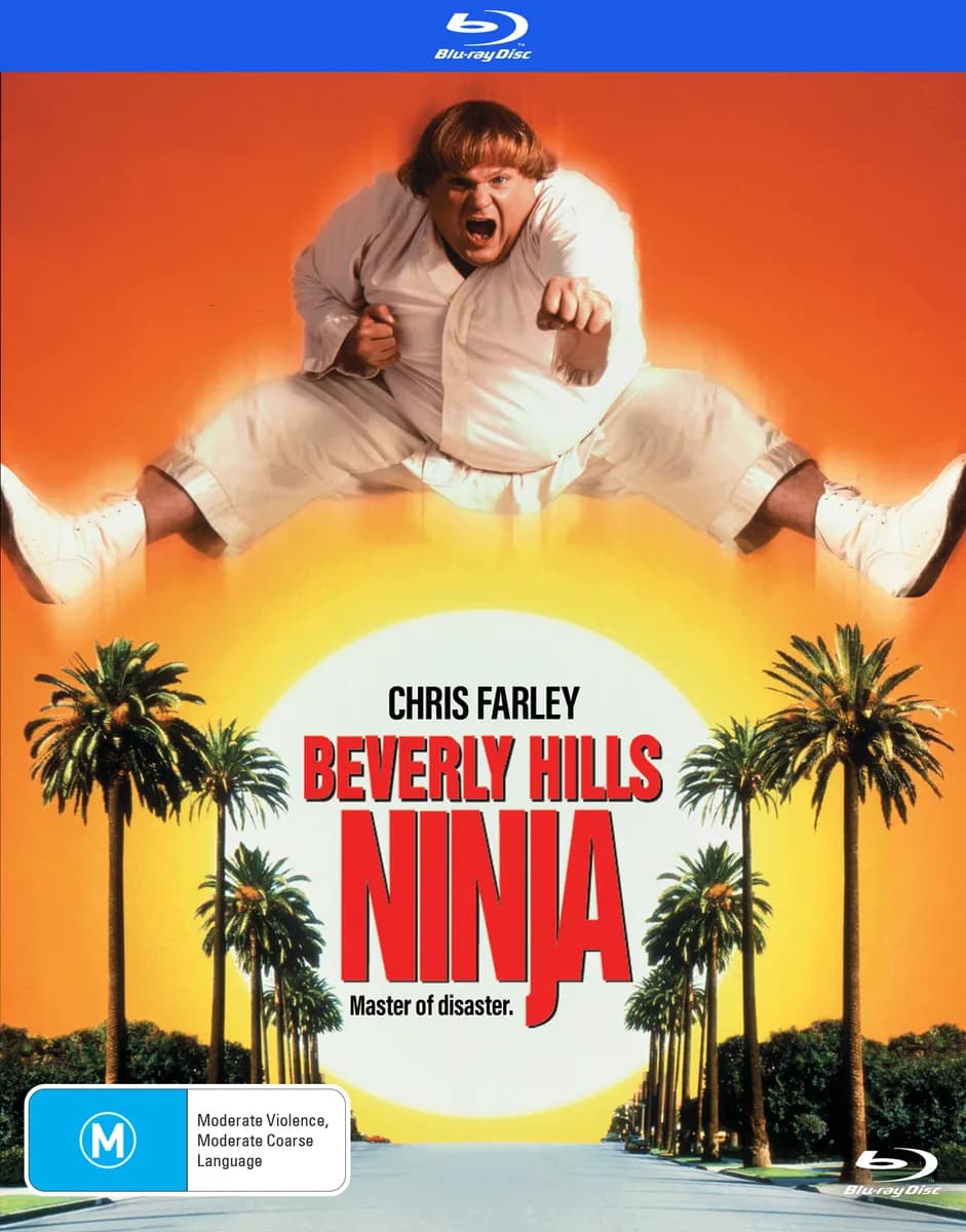 Beverly Hills Ninja cover