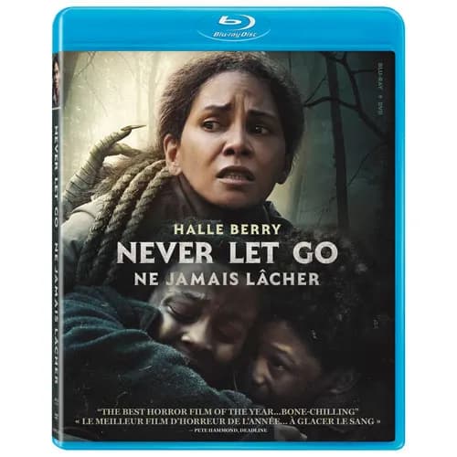 Never Let Go cover