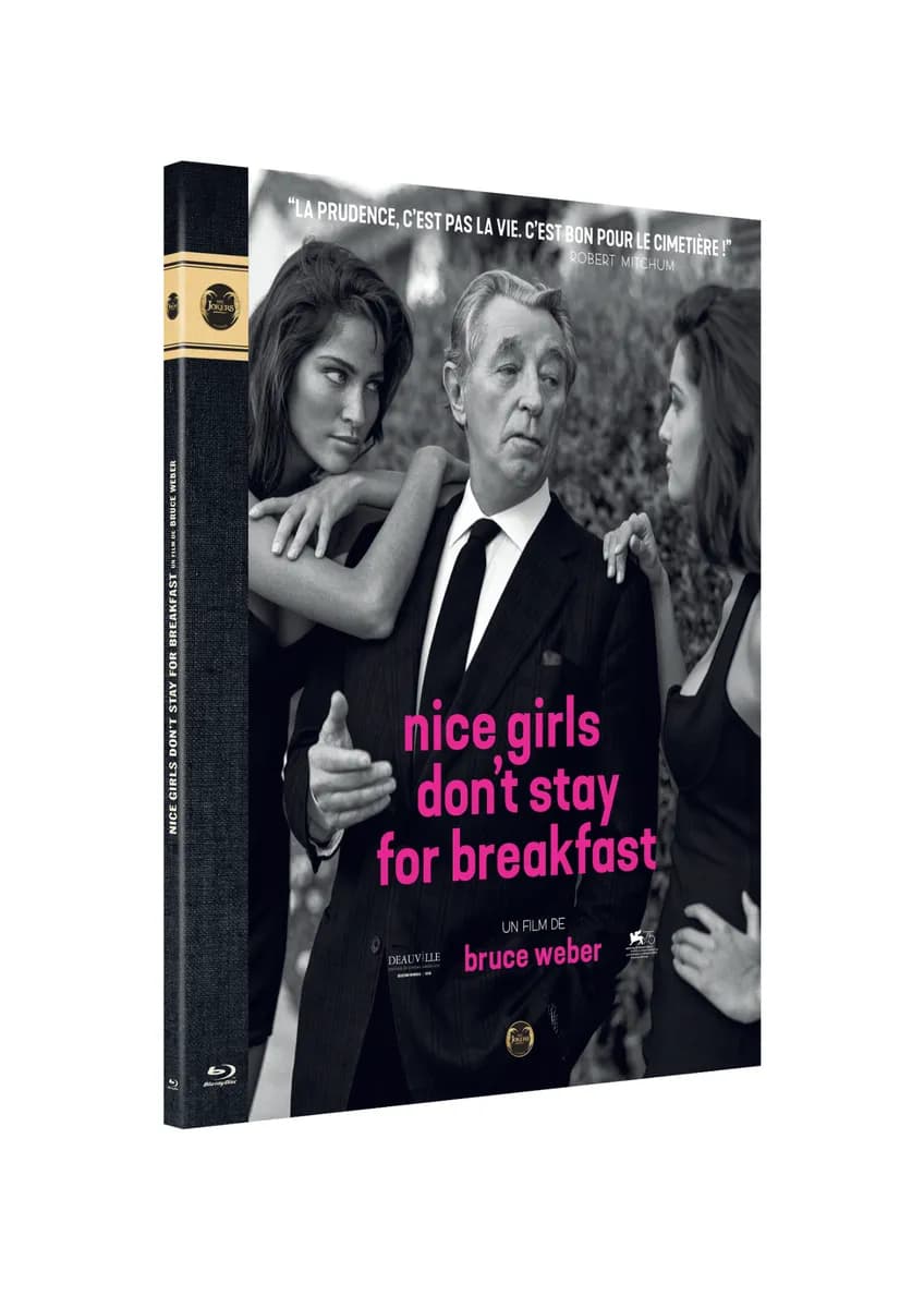 "Nice Girls Don't Stay for Breakfast" cover