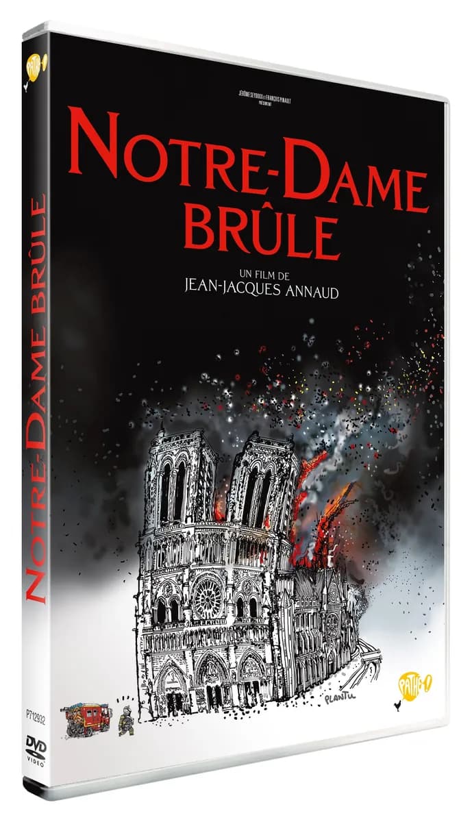 NOTRE-DAME BRÛLE cover