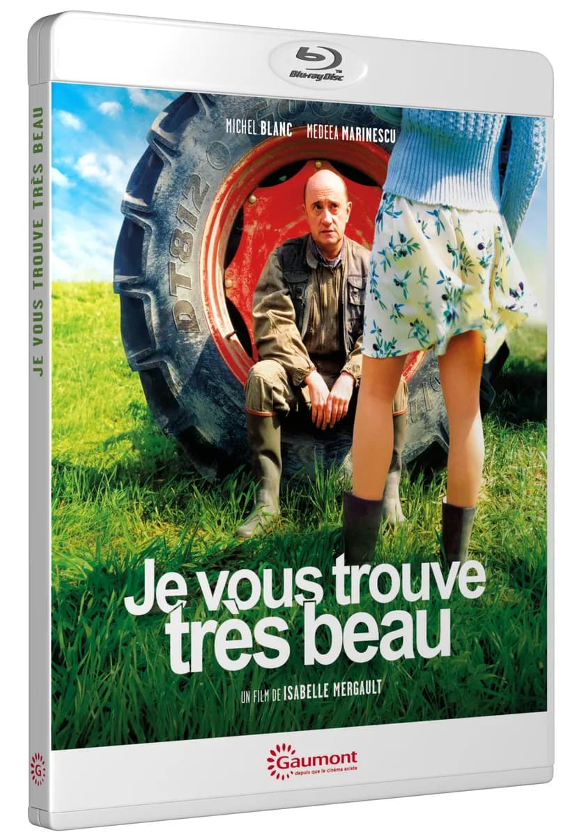 JE VOUS TROUVE TRES BEAU cover