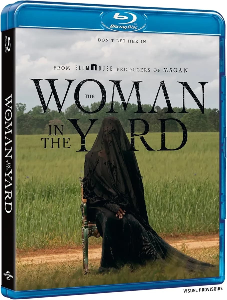 THE WOMAN IN THE YARD cover