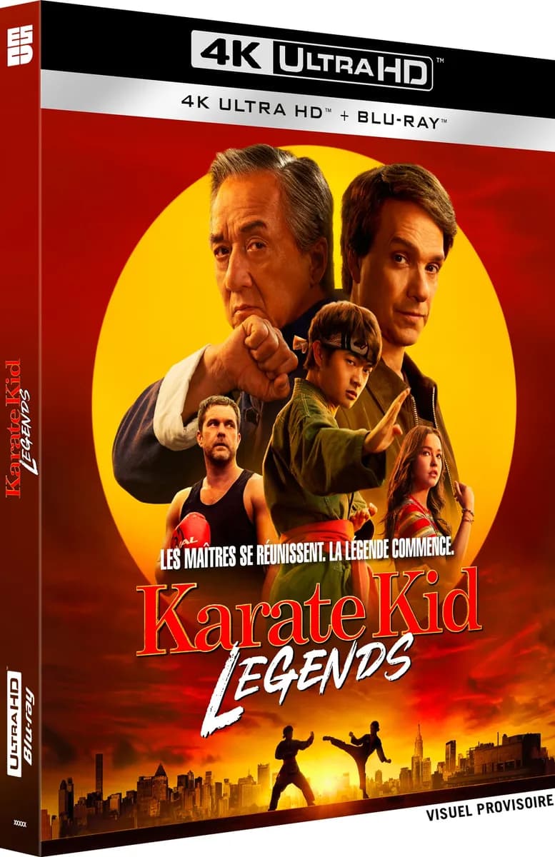 KARATE KID : LEGENDS cover