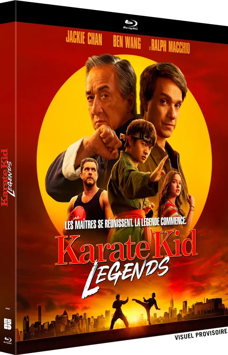 KARATE KID : LEGENDS cover