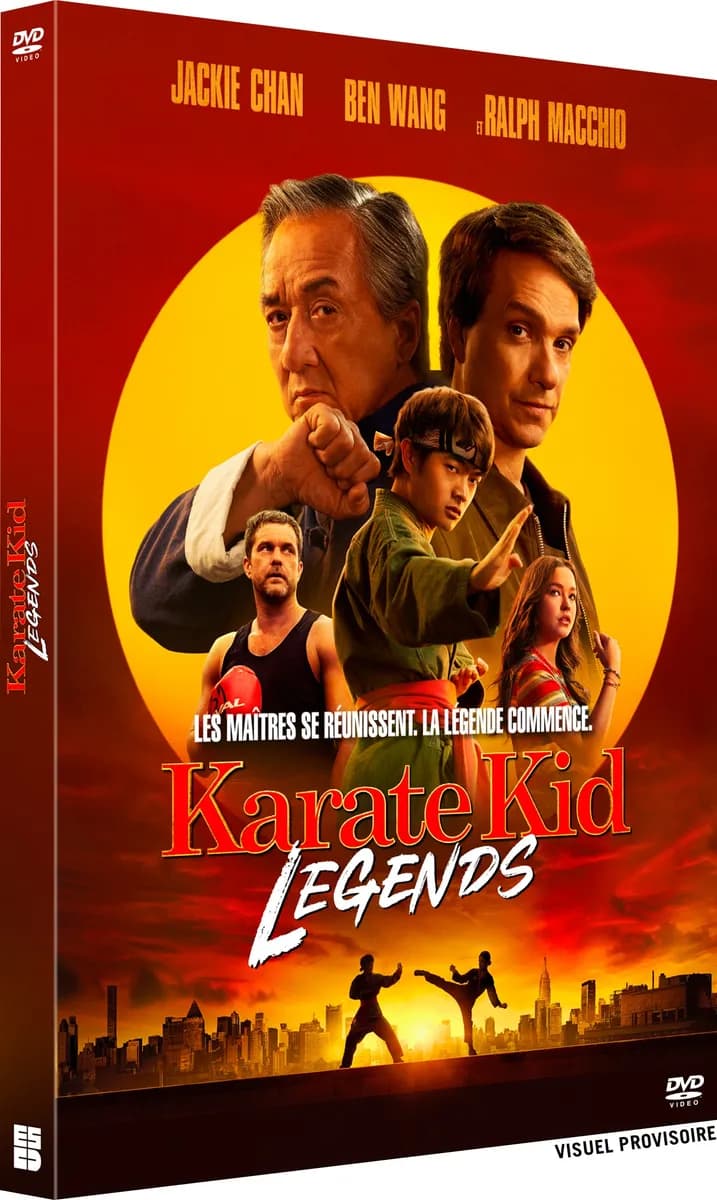 KARATE KID : LEGENDS cover