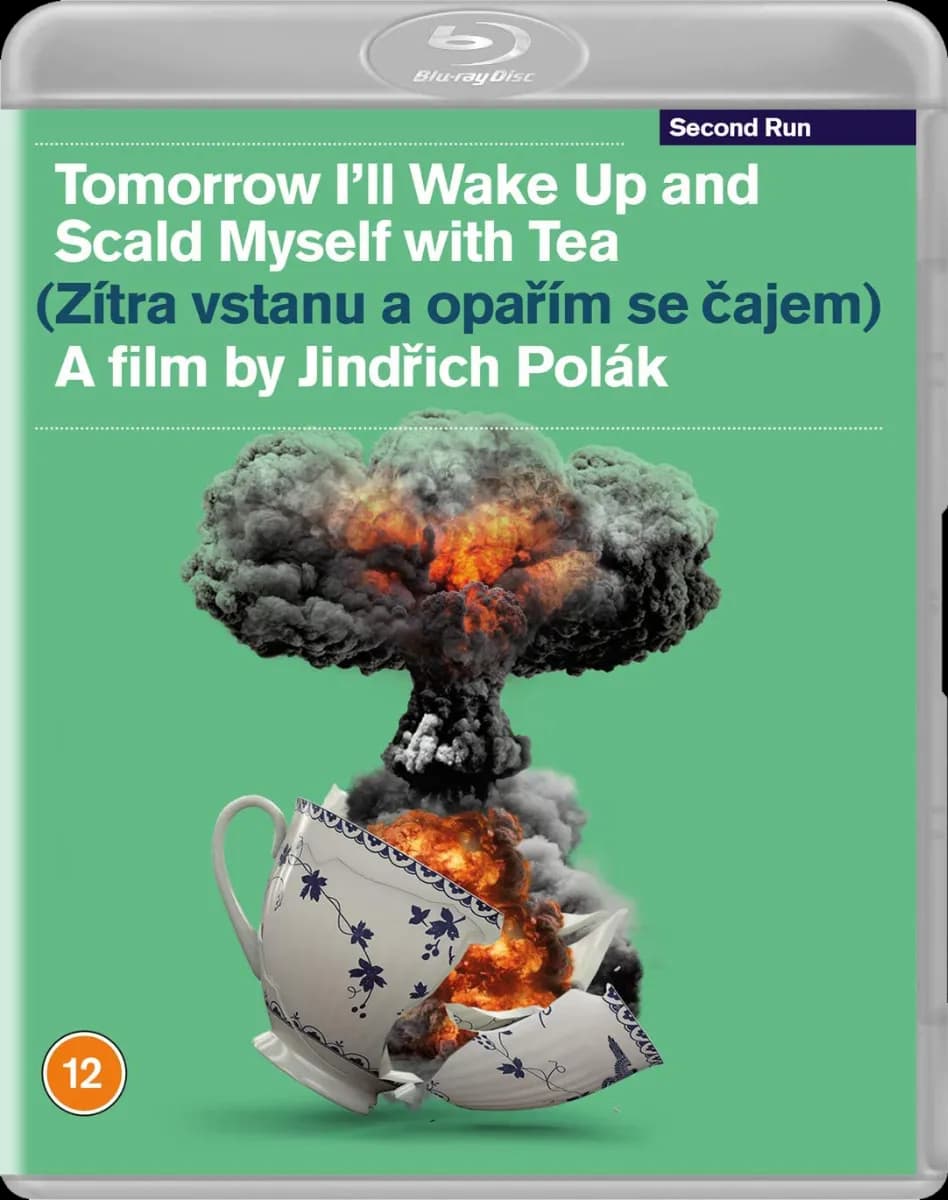 Tomorrow I'll Wake Up and Scald Myself with Tea cover