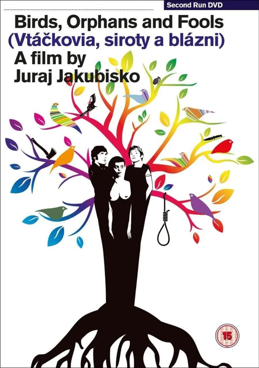 Birds, Orphans and Fools cover