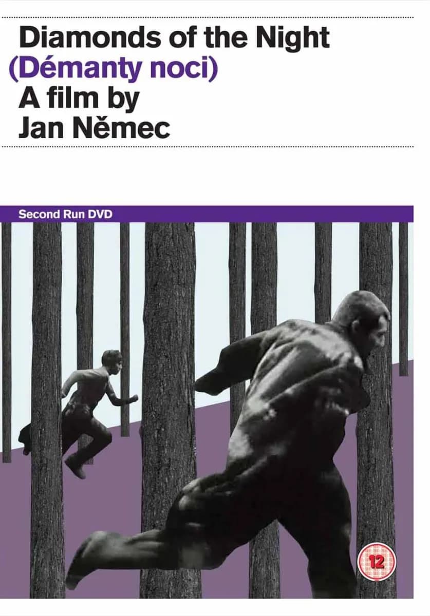Diamonds of the Night cover