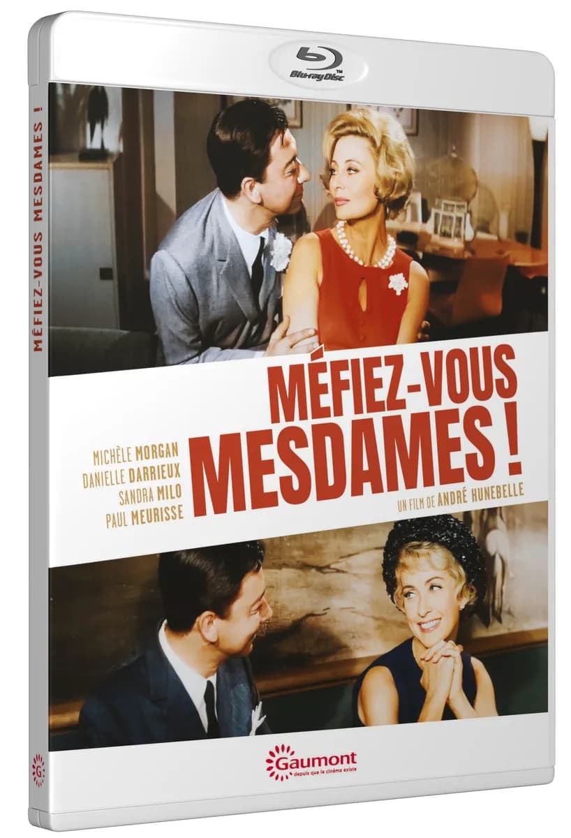 MEFIEZ-VOUS MESDAMES ! cover