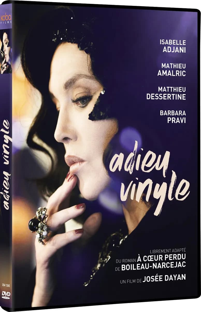 ADIEU VINYLE cover