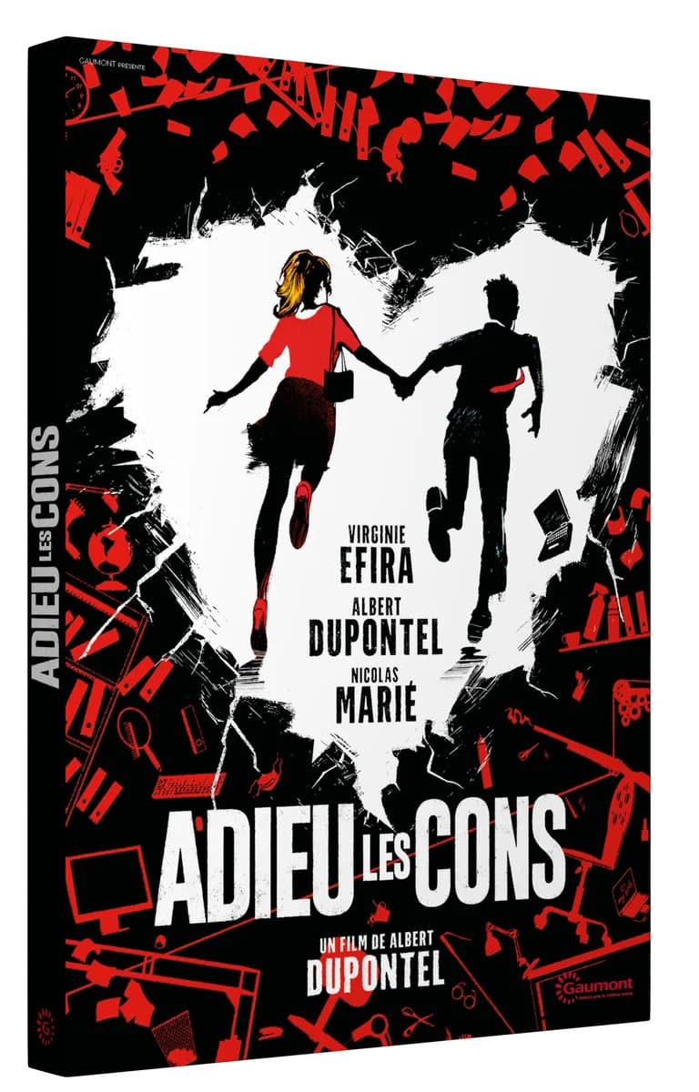 ADIEU LES CONS cover