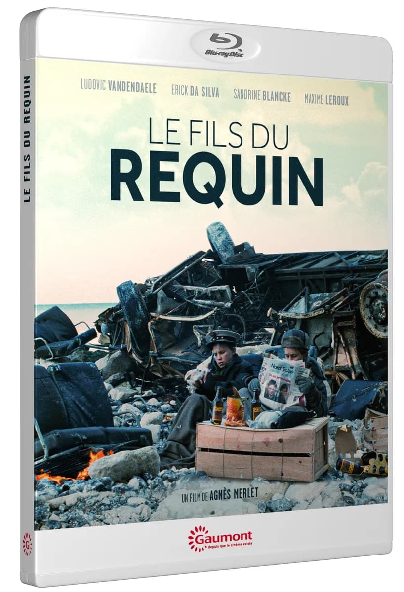 LE FILS DU REQUIN cover