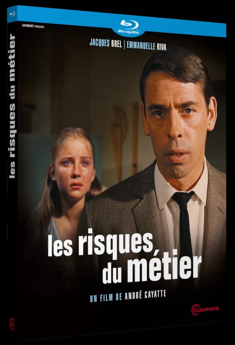 LES RISQUES DU METIER cover