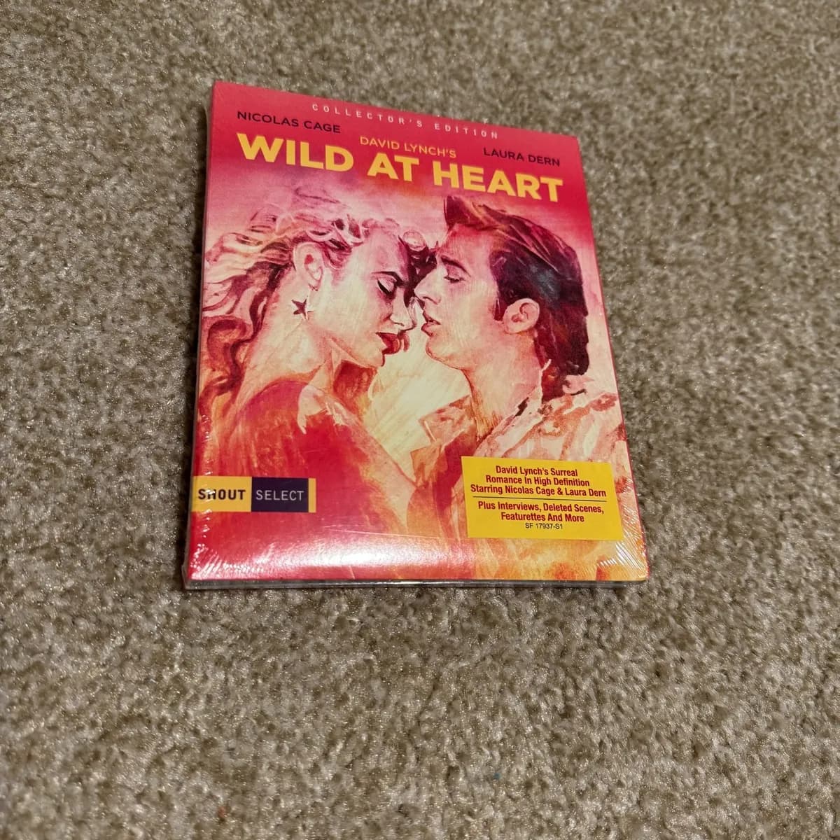 Wild at Heart cover