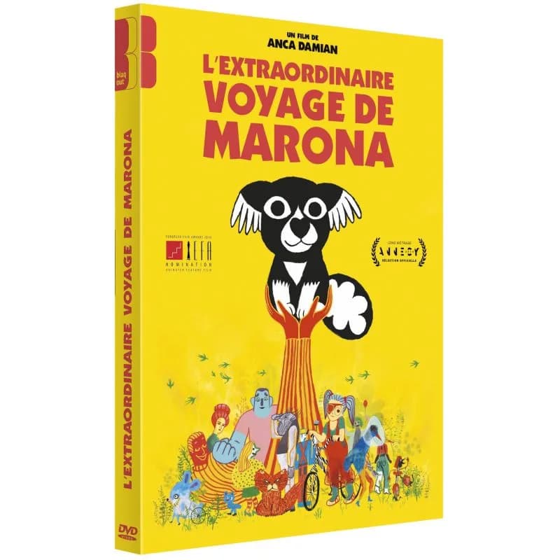 L’EXTRAORDINAIRE VOYAGE DE MARONA cover
