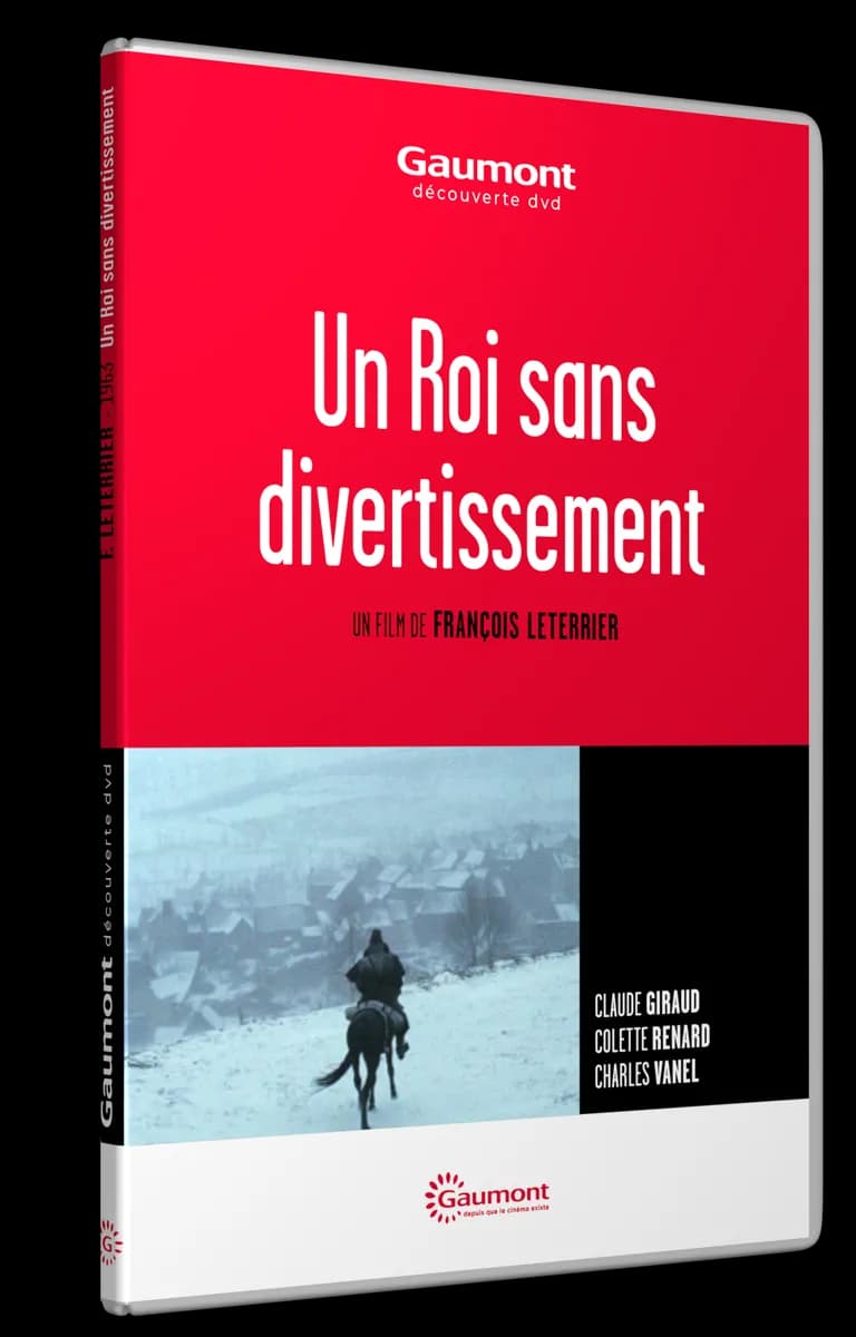 UN ROI SANS DIVERTISSEMENT cover