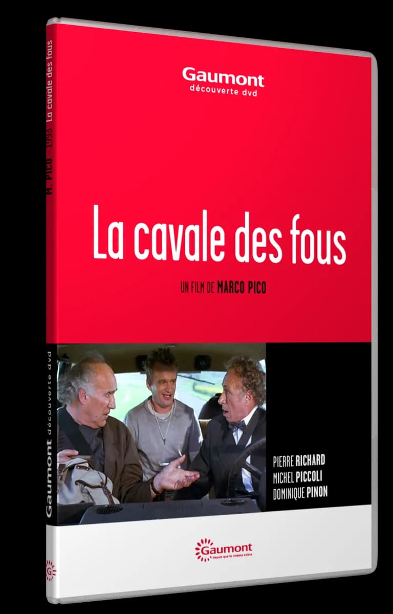 LA CAVALE DES FOUS cover