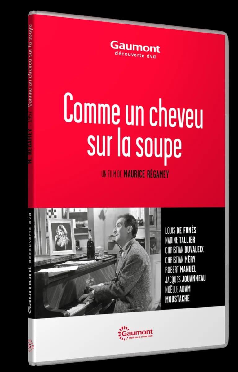COMME UN CHEVEU SUR LA SOUPE cover