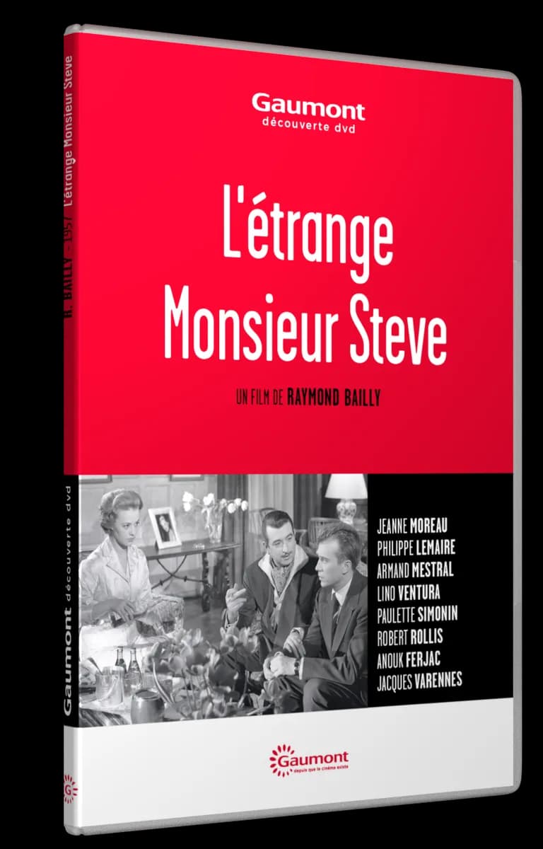 L’ETRANGE MONSIEUR STEVE cover