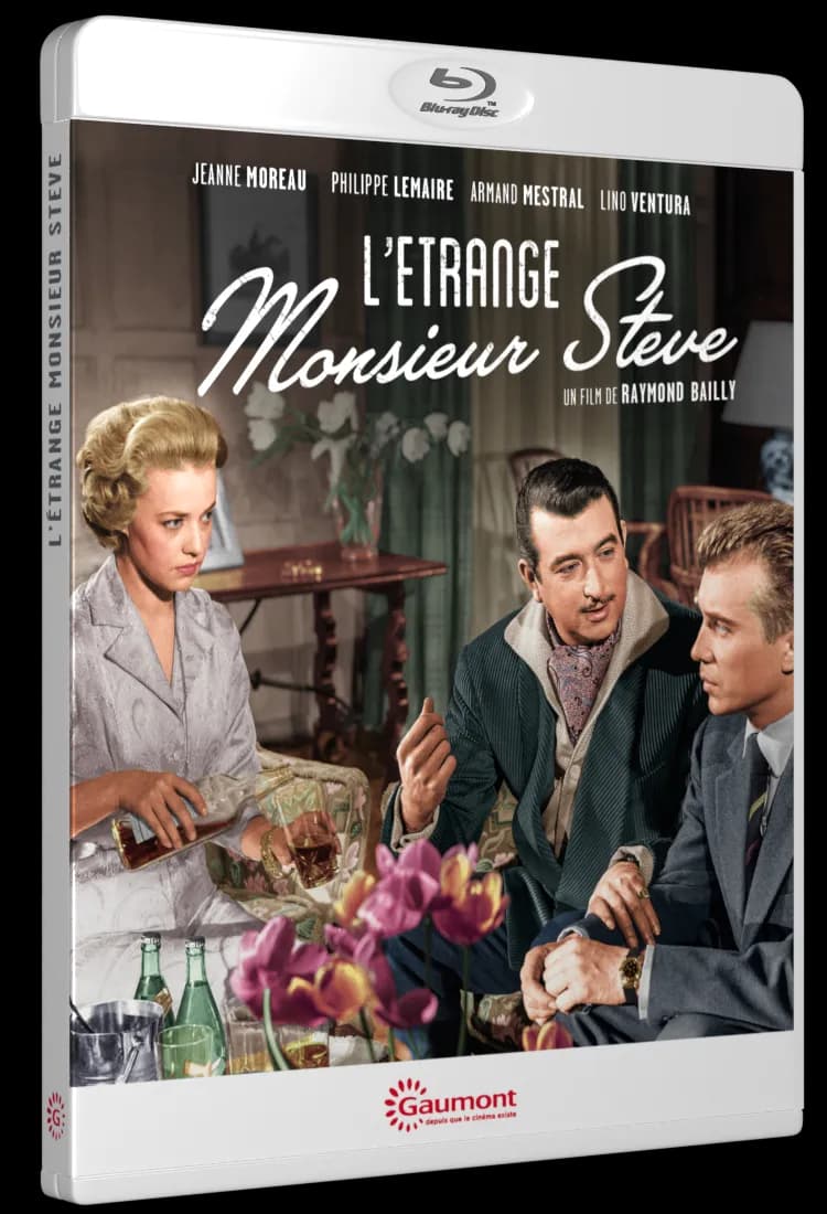 L’ETRANGE MONSIEUR STEVE cover