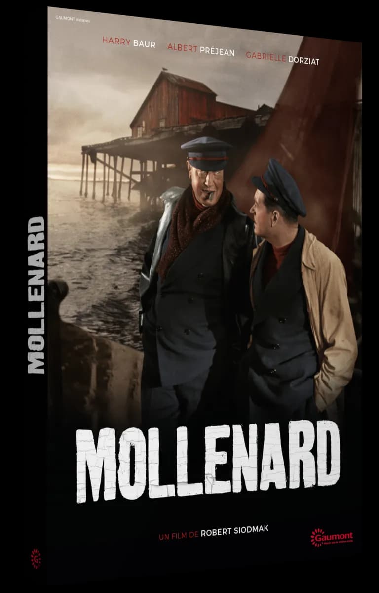 MOLLENARD cover