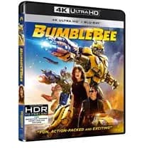 BumbleBee cover