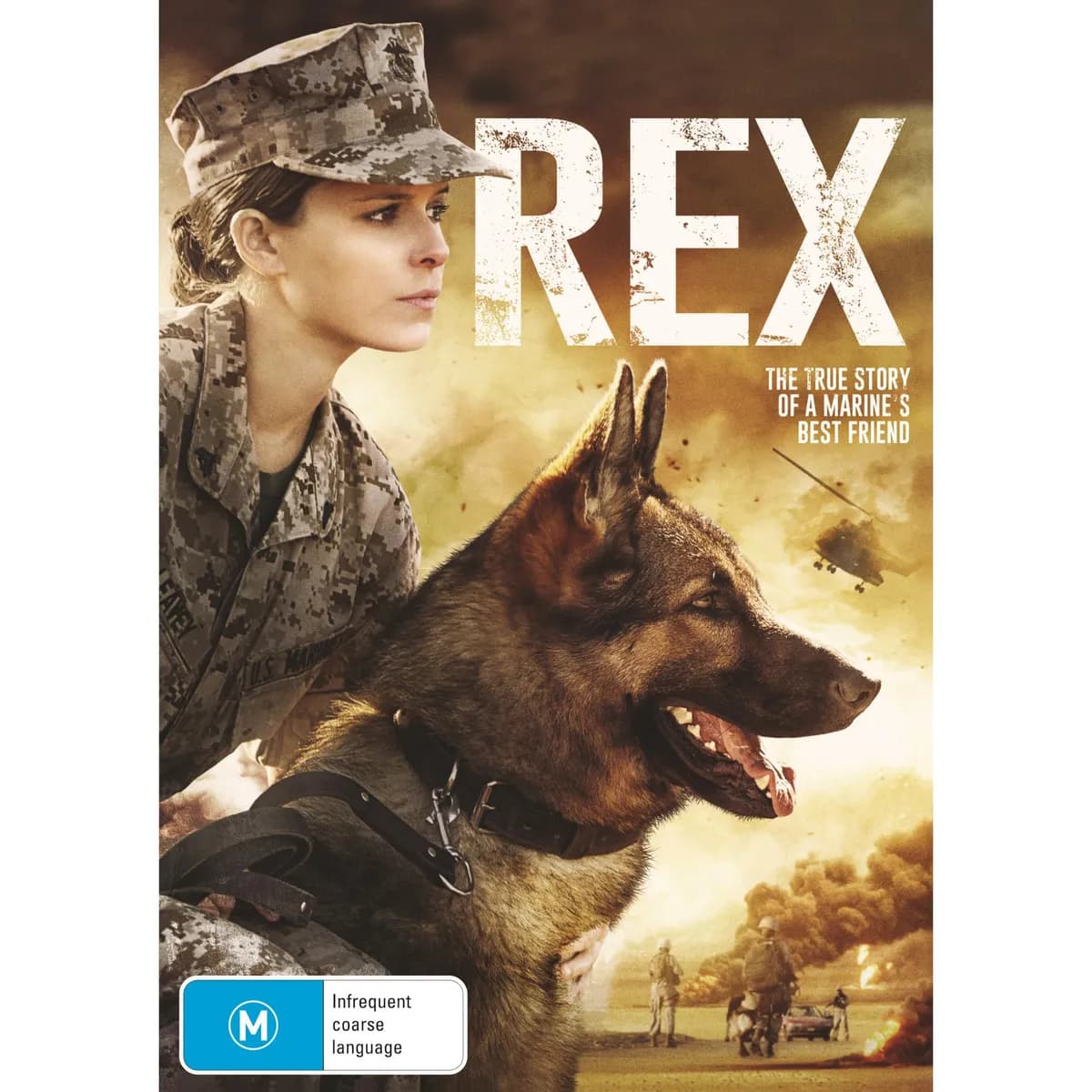Rex cover