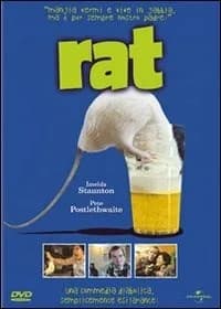 Rat cover