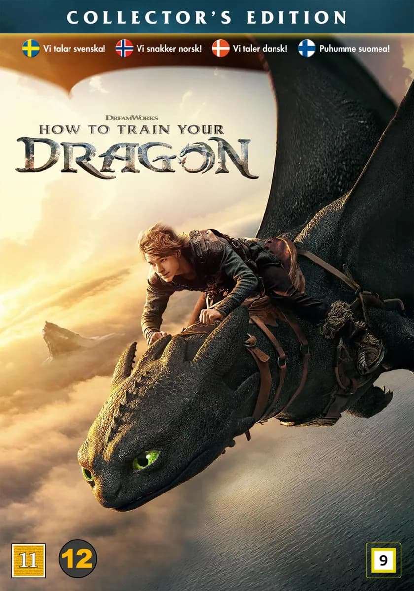 How to Train Your Dragon cover