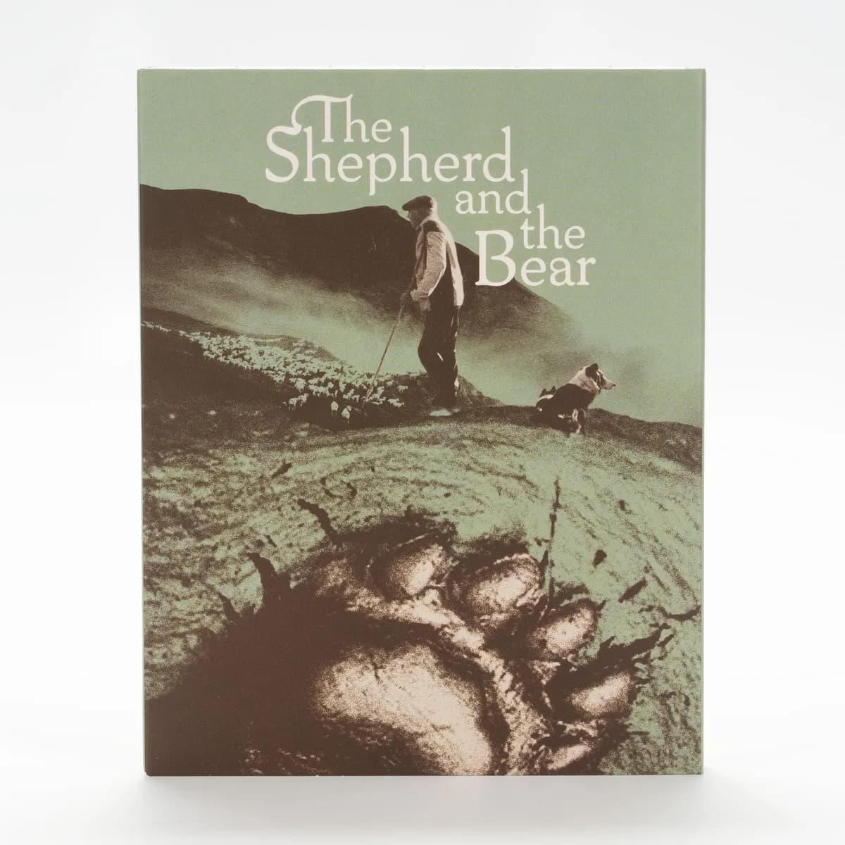 The Shepherd and the Bear cover