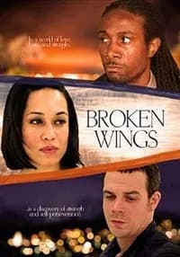 Broken Wings cover